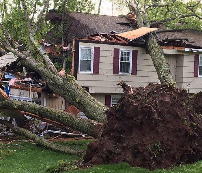 storm damage - tree crashed into house 